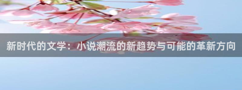 八零小说阅读网