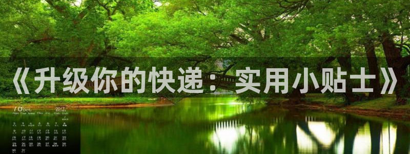 北小葵楚南栀小说阅读